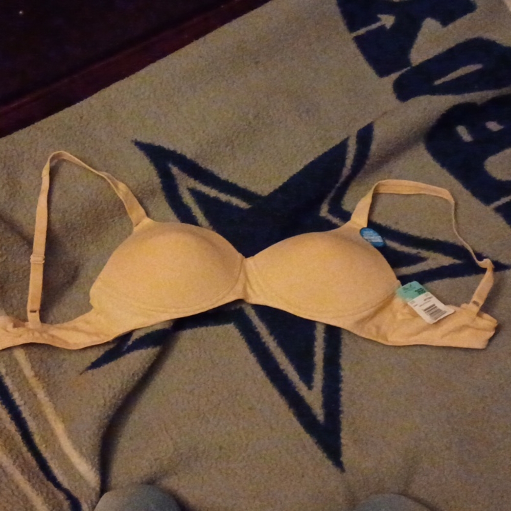 Fruit on loom bra 36B